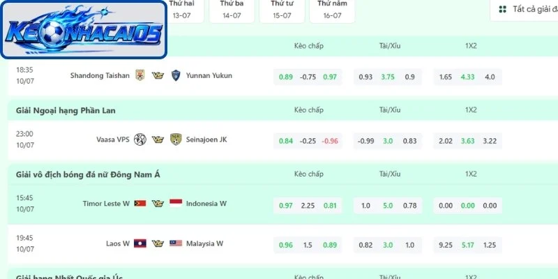 Cách Chơi Kèo Châu Á Từ Cơ Bản Đến Nâng Cao, Dễ Áp Dụng 3 Quan sát dao động của odds