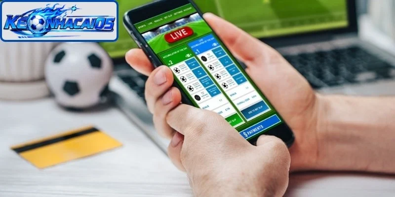 Kèo Cá Độ Dễ Thắng, Mẹo Nhận Diện Và Lựa Chọn Chiến Thuật 1 Sàng lọc kèo cá độ dễ thắng trước trận như nào?